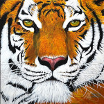 Tiger Babu