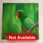misc_parrot