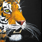 Tiger Babu